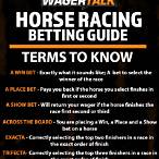 how do i bet horse racing